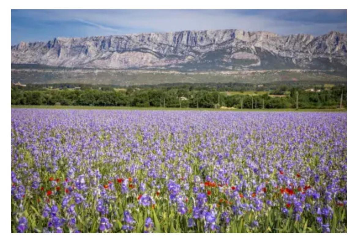 Aix-En-Provence, Cosy Studio Proche Toutes Commodites, Linges Fournis Exteriör bild